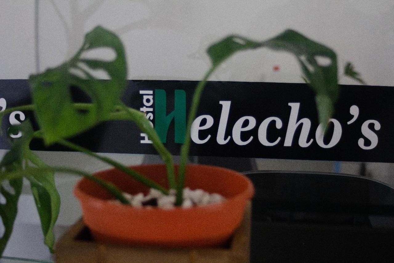 Helecho'S Hostal Hostel Encarnación Kültér fotó