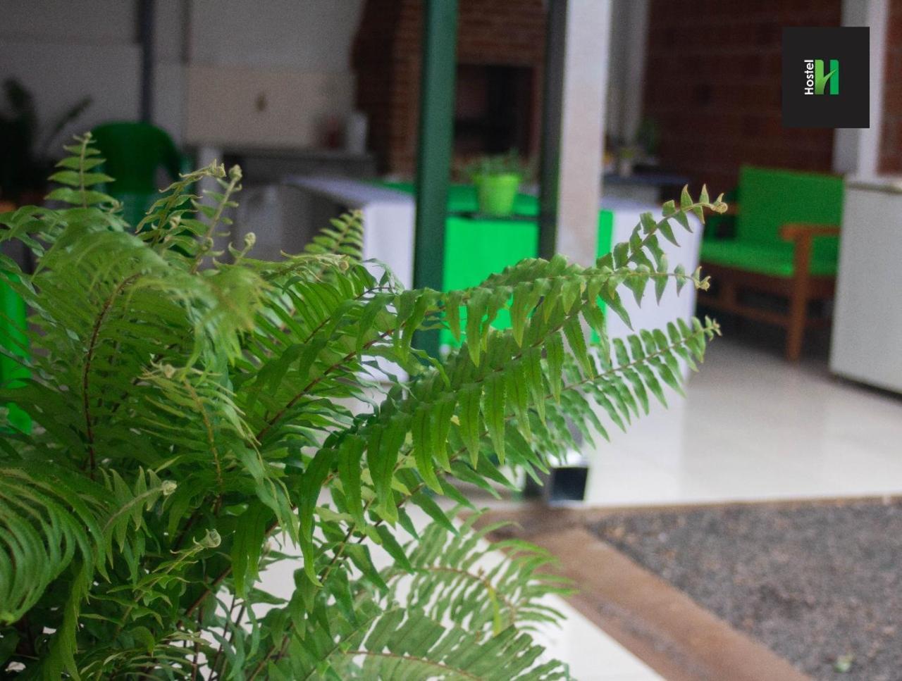 Helecho'S Hostal Hostel Encarnación Kültér fotó